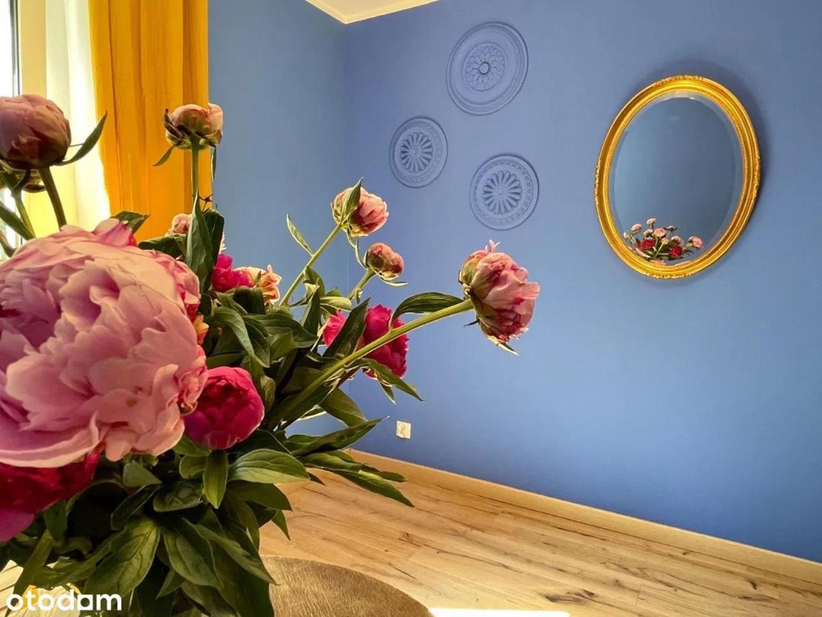 Apartament Kraszewskiego - Retro, Blisko Starowki, Kolo Parku, Ogrod Dla Gosci, Rowery Free Stary Toruń エクステリア 写真