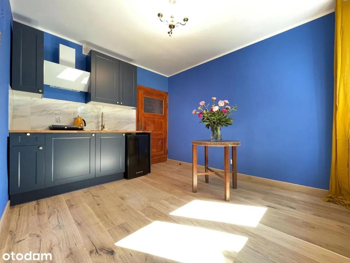 Apartament Kraszewskiego - Retro, Blisko Starowki, Kolo Parku, Ogrod Dla Gosci, Rowery Free Stary Toruń エクステリア 写真